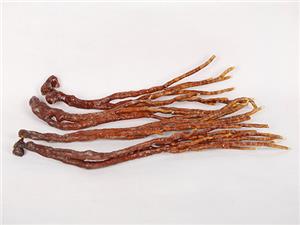 【源宇生物科技】破壁靈芝孢子粉每天應該什么時間服用？